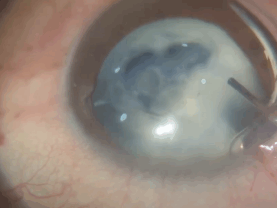 Capture d’écran 2025-04-27 à 13.19.03